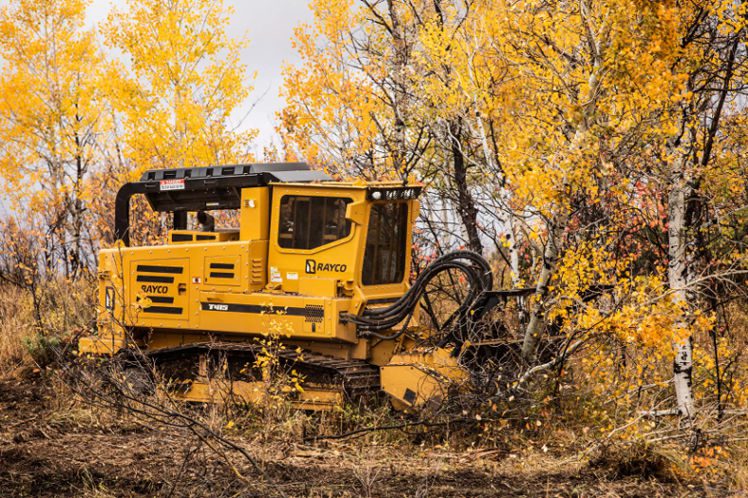 Rayco T415 Forestry Mulcher
